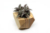 GEOMETRIC PLANTER - touchGOODS