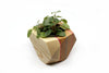 GEOMETRIC PLANTER - touchGOODS