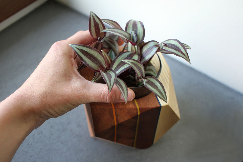 GEOMETRIC PLANTER - touchGOODS