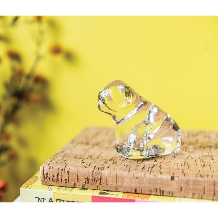 Derby Dog in Gift Box - touchGOODS