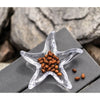 Starfish Dish - touchGOODS
