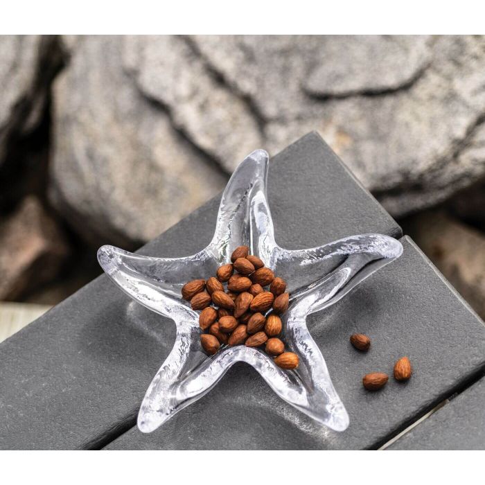 Starfish Dish - touchGOODS