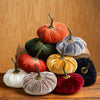 Assorted Velvet Pumpkins - touchGOODS
