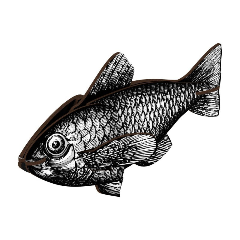 Fish - Casablanca - touchGOODS