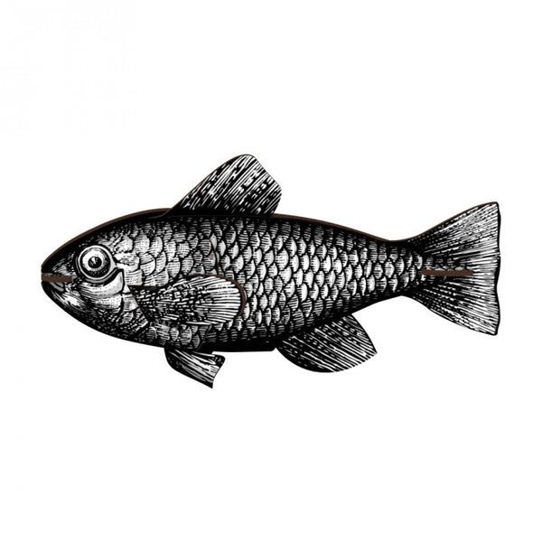 Fish - Casablanca - touchGOODS