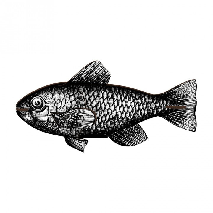 Fish - Casablanca - touchGOODS