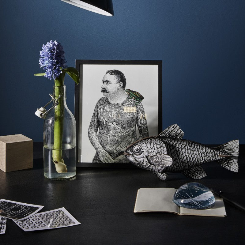 Fish - Casablanca - touchGOODS