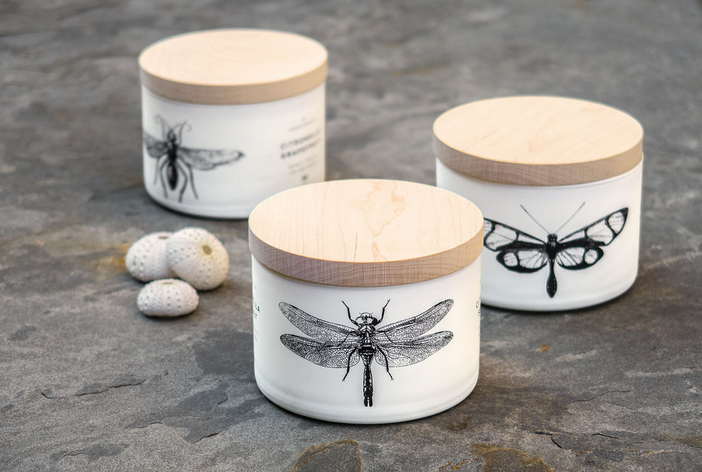 Citronella Sea Salt Triple-Wick Candle - touchGOODS