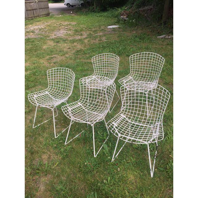 Vintage Harry Bertoia Knoll White Wire Chairs - Set of 5 - touchGOODS