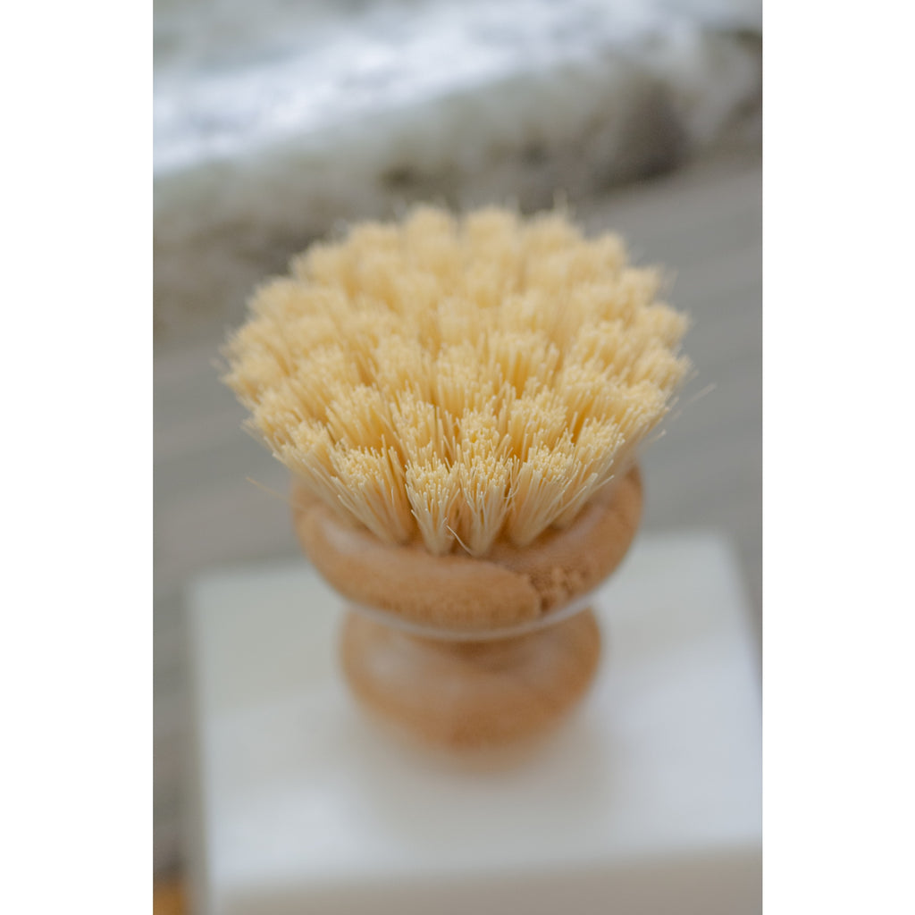CASA AGAVE® Dish Washing Brush - touchGOODS