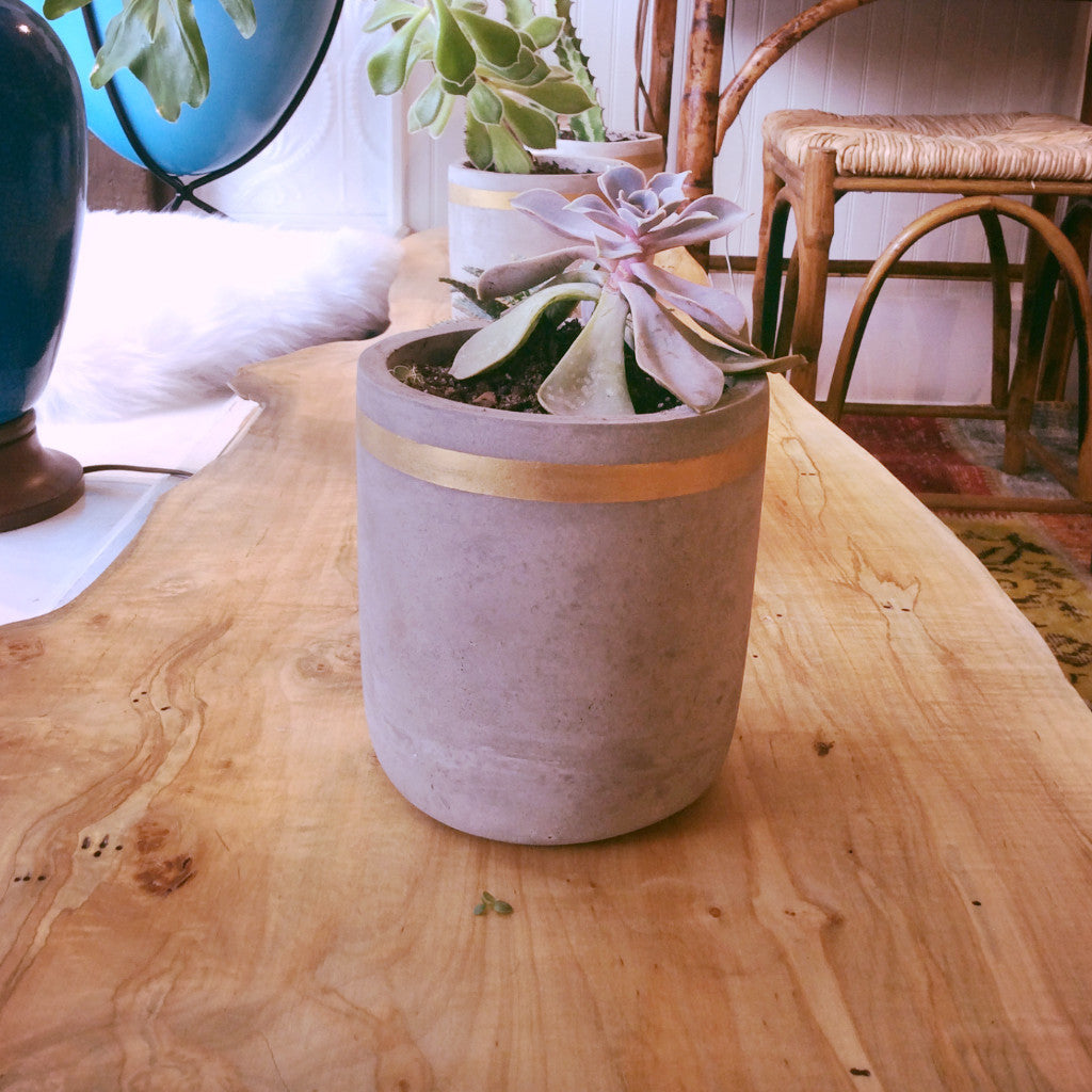 Tall Cement Planter with Gold Stripe 5 1/2"h | touchGOODS