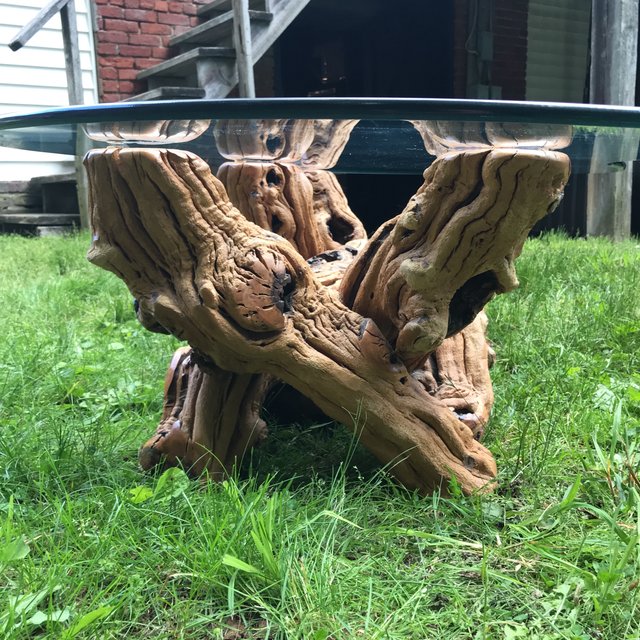 Mid Century Organic Form Vine Root Coffee Table | touchGOODS