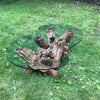 Mid Century Organic Form Vine Root Coffee Table | touchGOODS
