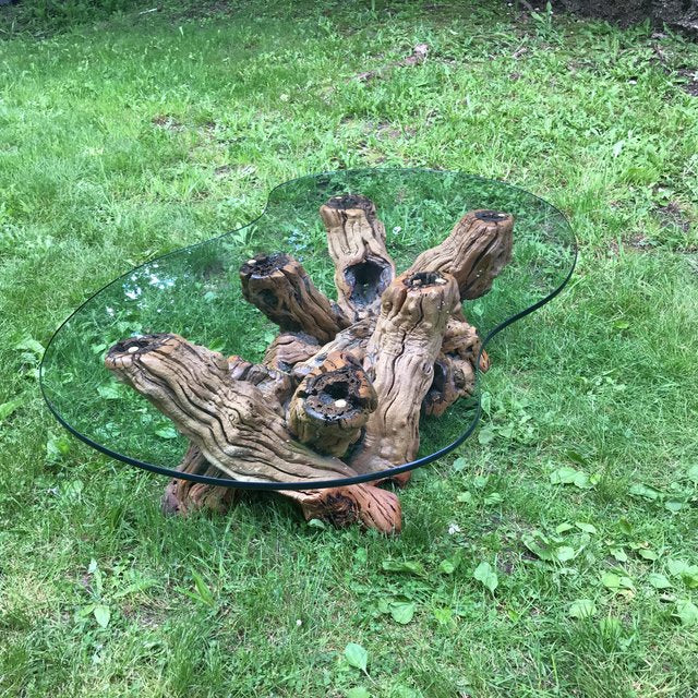 Mid Century Organic Form Vine Root Coffee Table | touchGOODS