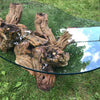Mid Century Organic Form Vine Root Coffee Table | touchGOODS