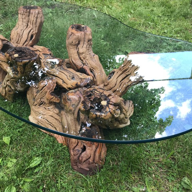 Mid Century Organic Form Vine Root Coffee Table | touchGOODS