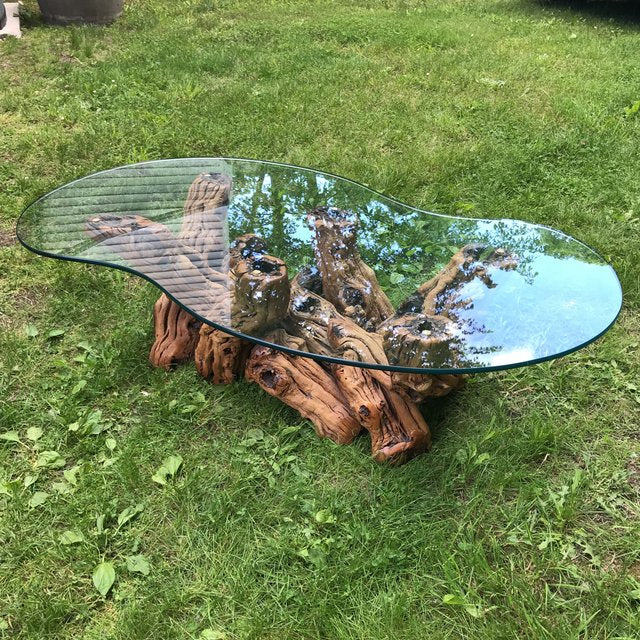 Mid Century Organic Form Vine Root Coffee Table | touchGOODS