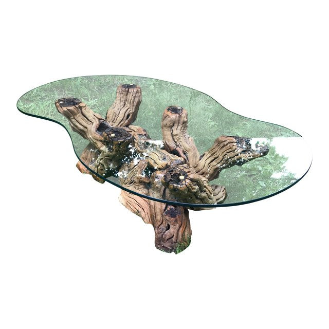 Mid Century Organic Form Vine Root Coffee Table | touchGOODS