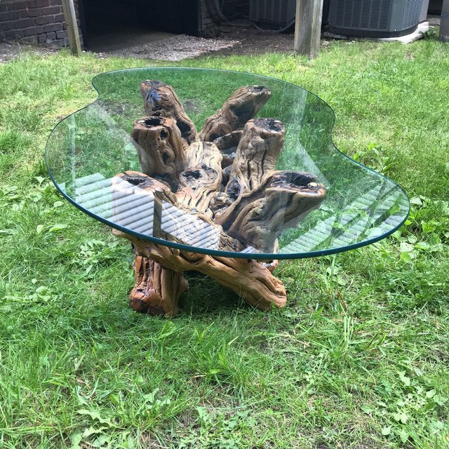Mid Century Organic Form Vine Root Coffee Table | touchGOODS