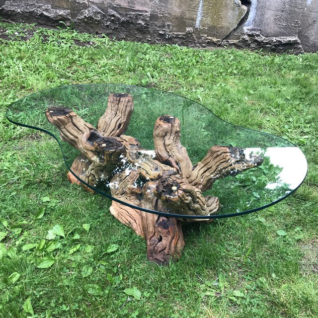 Mid Century Organic Form Vine Root Coffee Table | touchGOODS