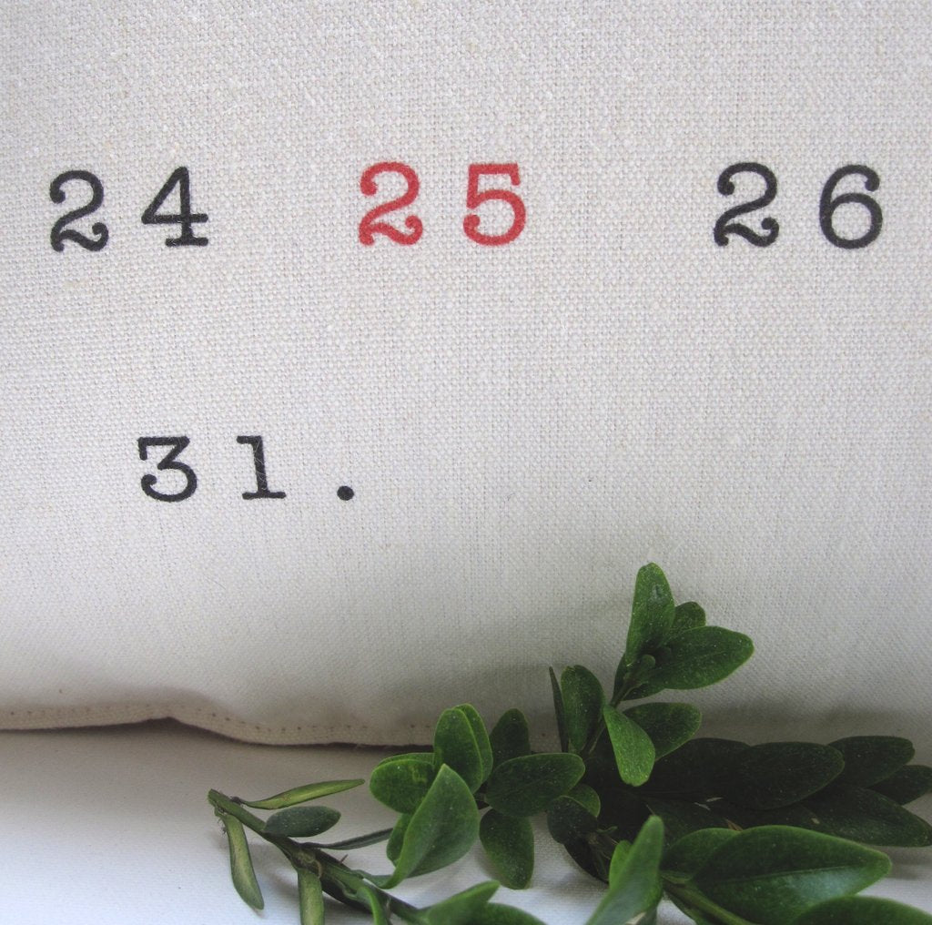 December Pillow | touchGOODS