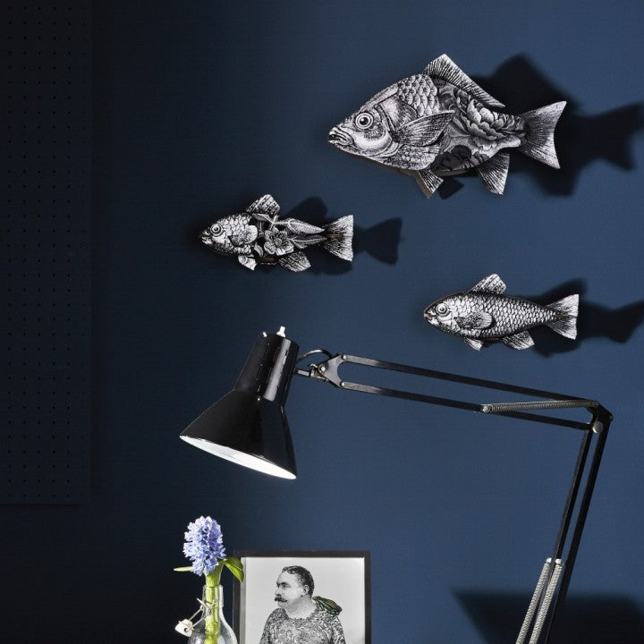 Fish - Vertigo - touchGOODS